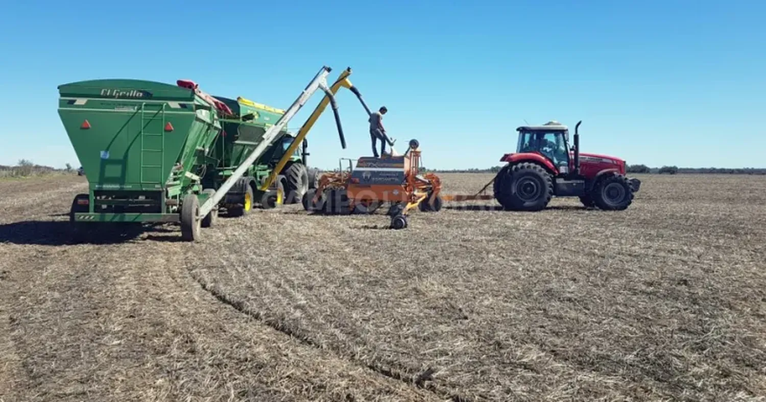 "Para sembrar el maíz de primera tendrían que llover por lo menos 50 milímetros", aseguran los productores de la zona núcleo.