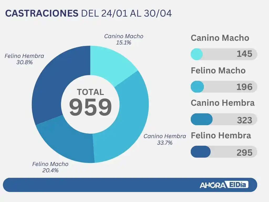 numeros castraciones perros gatos