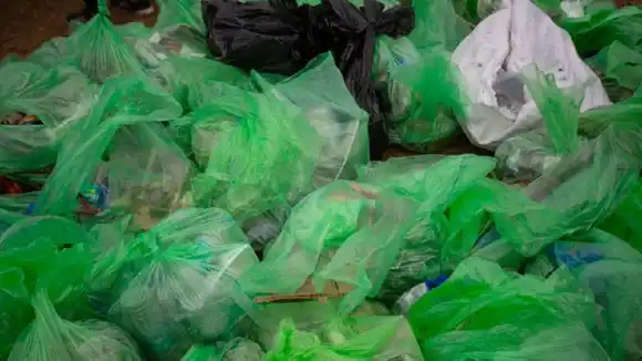 NO MÁS BOLSAS PLÁSTICAS para las compras: gobernador de California emite ley para evitar la contaminación