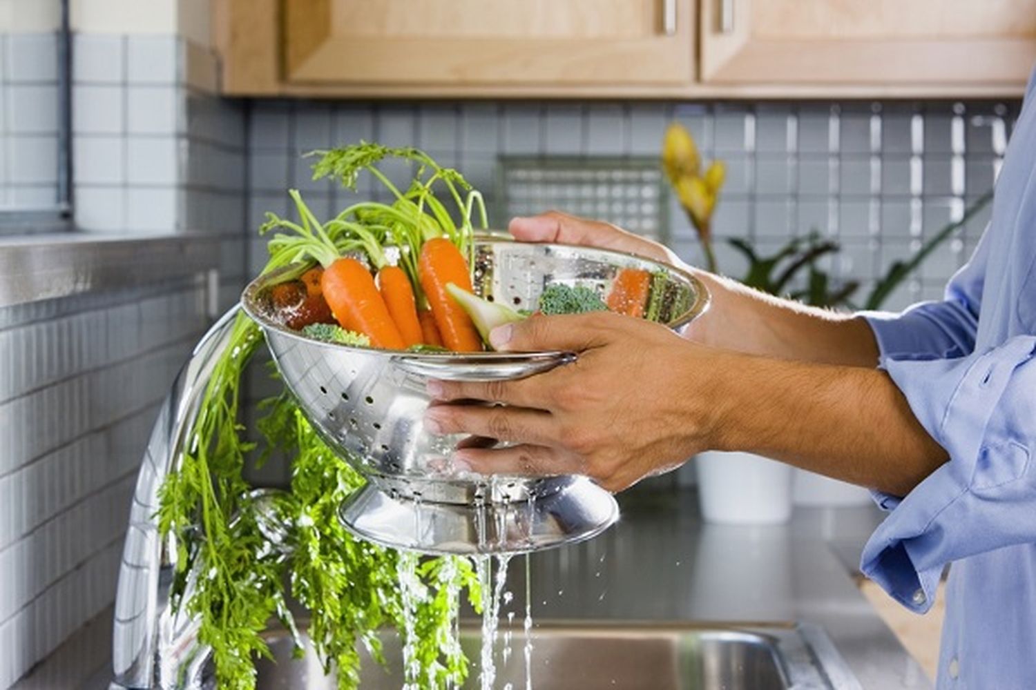 Lanzan el programa “Por una alimentación más segura”