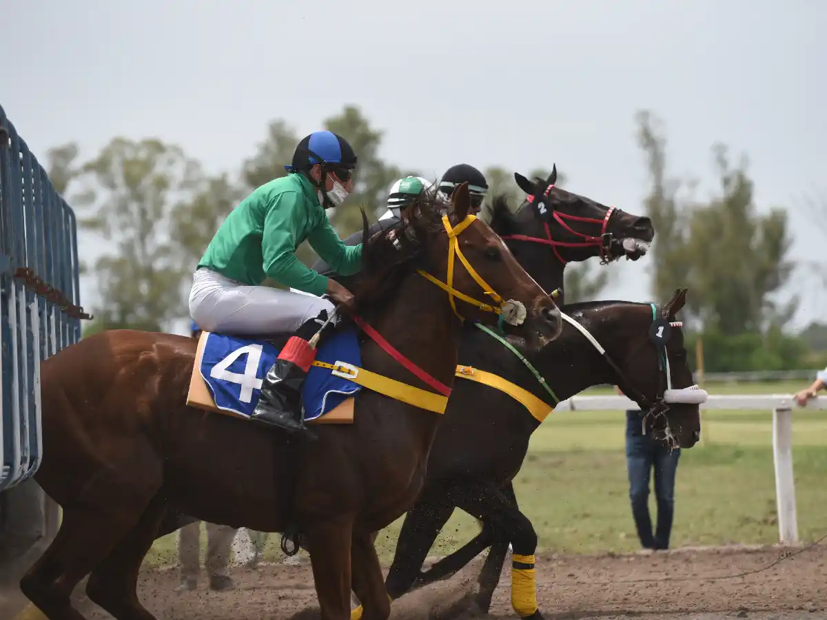 El hipódromo se viste de fiesta 