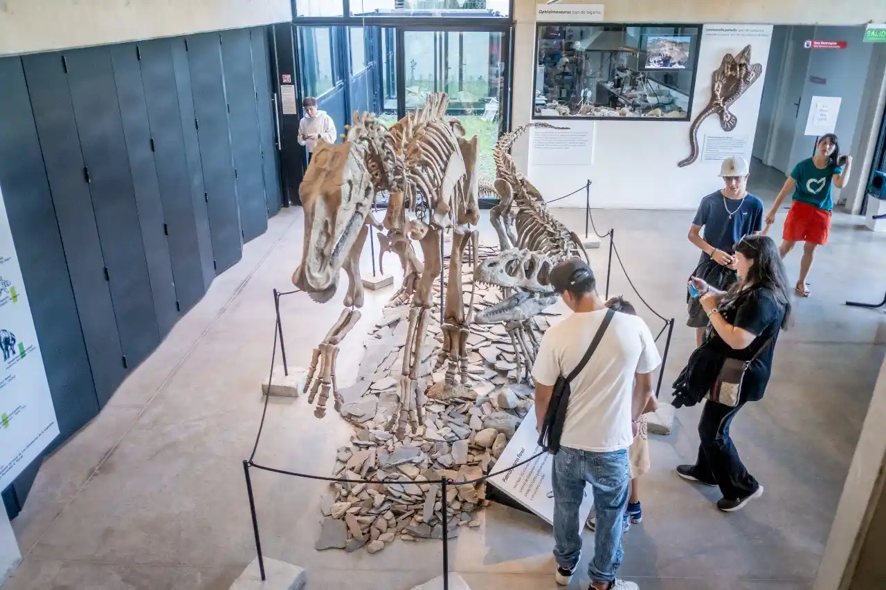 Los miércoles. la entrada será gratuita para todos los visitantes.