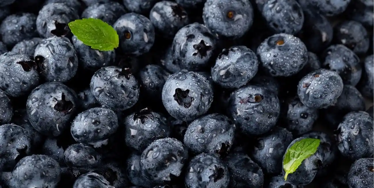 Arándanos: el snack que potencia la memoria y refuerza tus defensas.