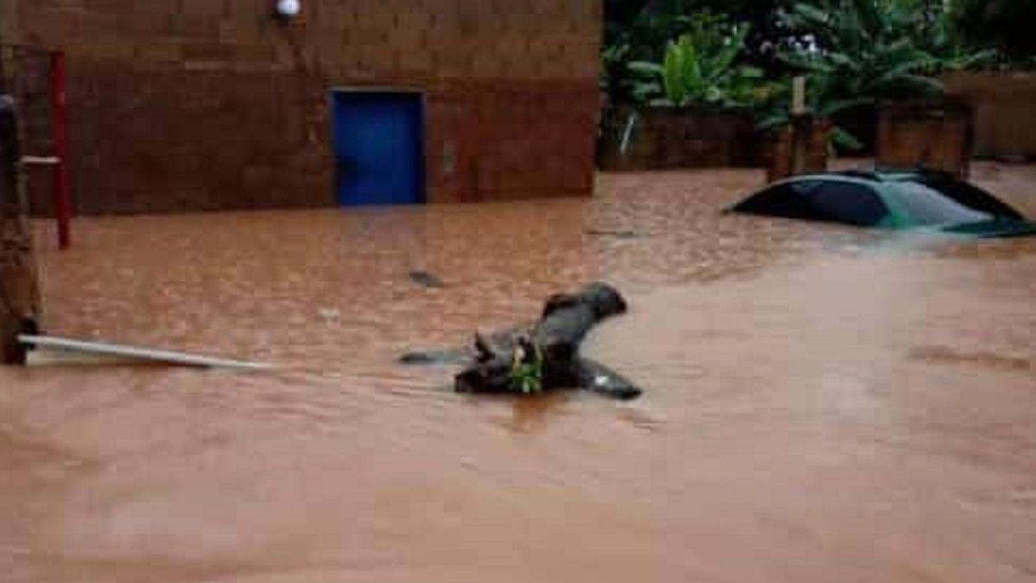 ¡INAMEH DECLARA ALERTA! LLUVIAS INTENSAS afectan a unas 100 viviendas en Anzoátegui