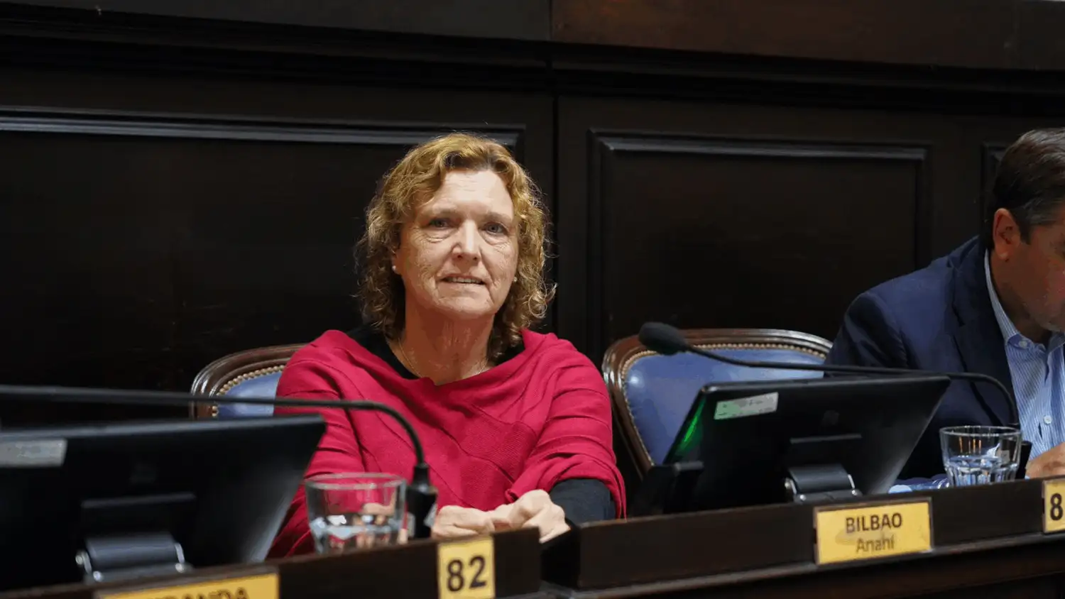 La diputada Anahí Bilbao propone crear un sistema de viviendas tuteladas para personas con discapacidad. (Foto: Diputados bonaerenses)