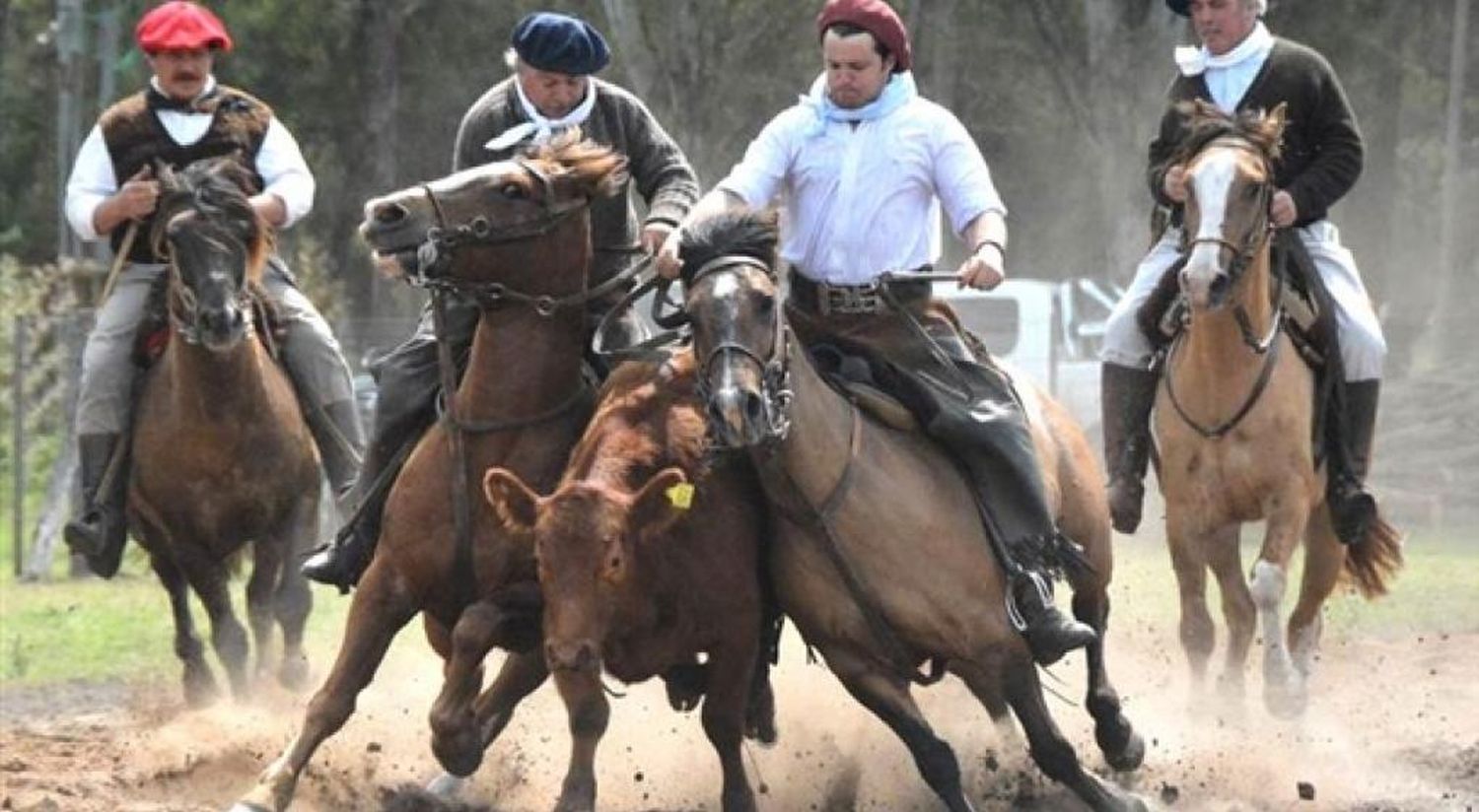 URGENTE: Confirmaron casos de Encefalomielitis Equina en Entre Ríos