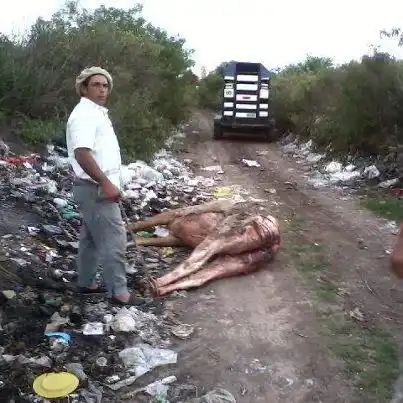 Levantarán firmas para que se prohíban las jineteadas