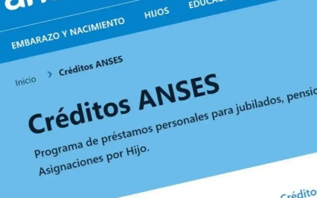 El Gobierno suspendió los Créditos Anses