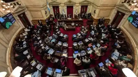 El Senado durante el debate del veto de la emergencia en Discapacidad. (Foto: NA)