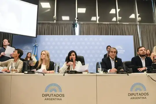 Régimen Penal Juvenil: el oficialismo consiguió firmar dictamen de mayoría en Diputados