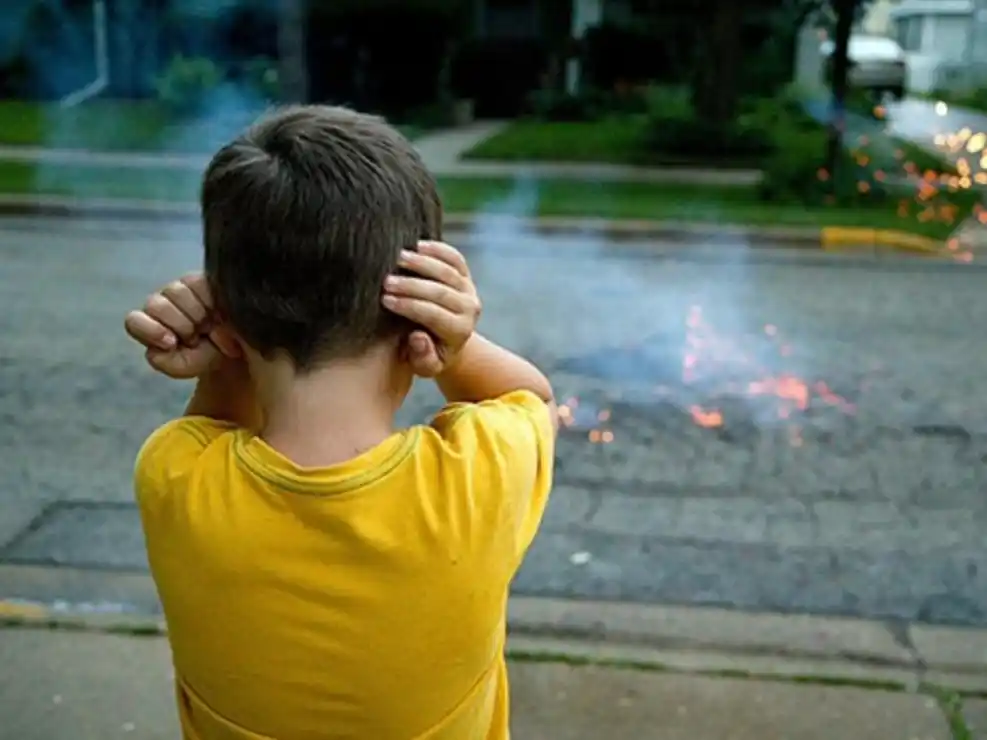 Festejos que lastiman: el costo invisible del uso de pirotecnia en Gualeguaychú