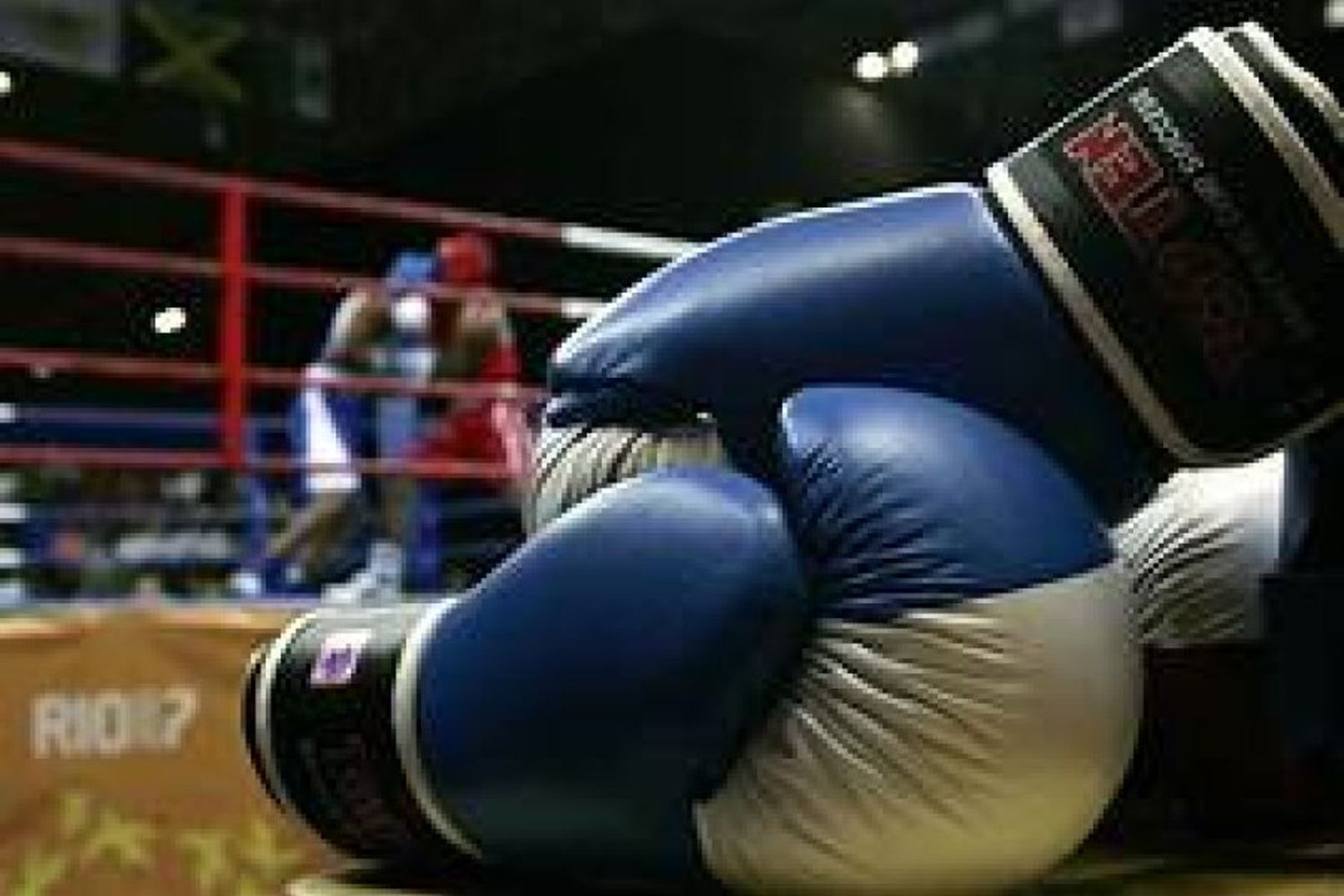 Festival de boxeo amateur en Susana