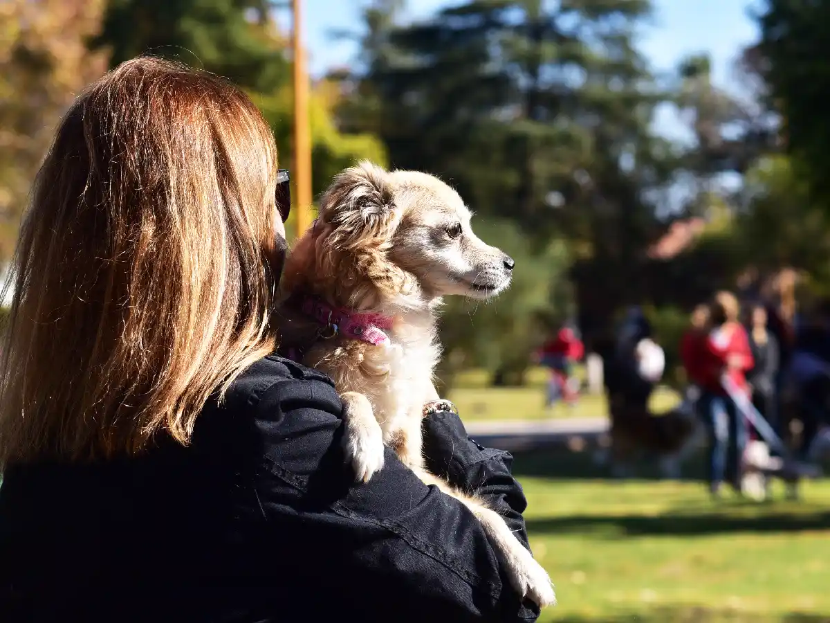 Día Mundial del Perro: los cuatro beneficios de las personas que adoptan una mascota