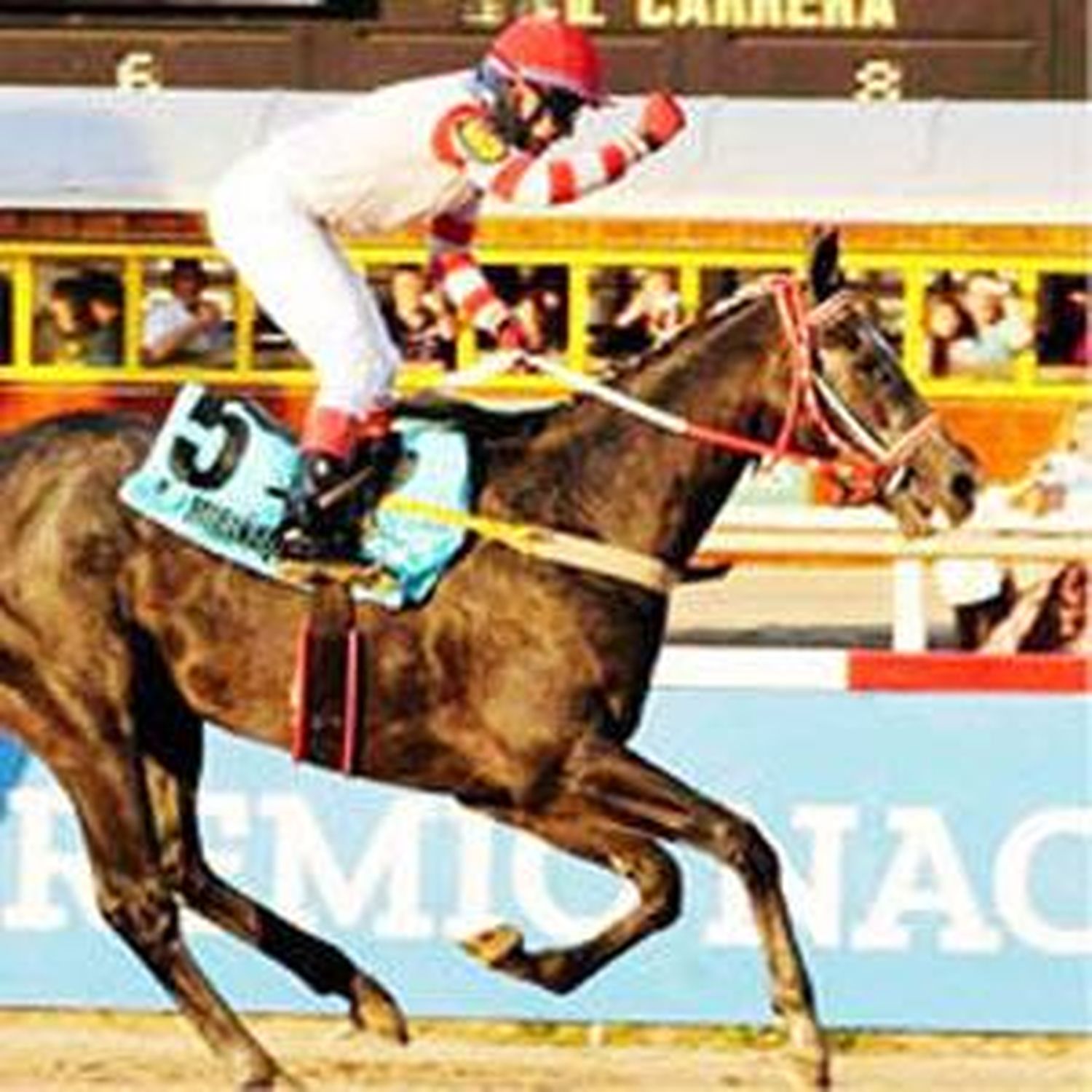 El Bosque se viste de fiesta con el Gran Premio Dardo Rocha