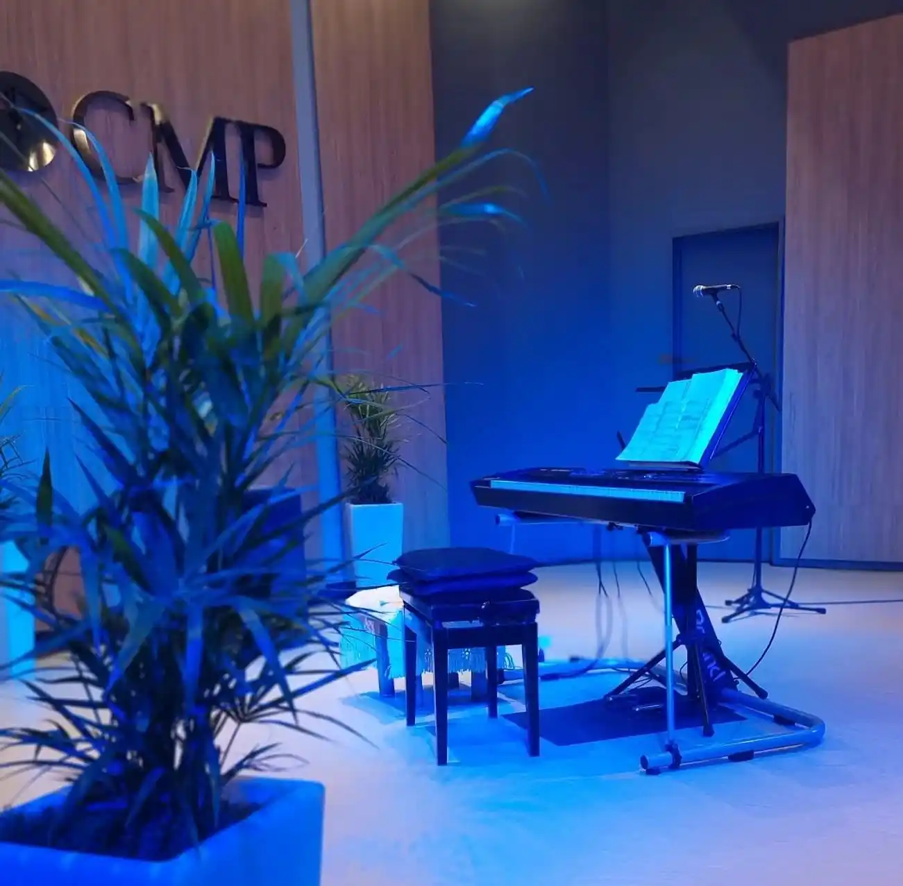 Se realizará la 5ta. Edición de la Muestra Artistas del Paraná a beneficio del Hospital Geriátrico Pascual Palma