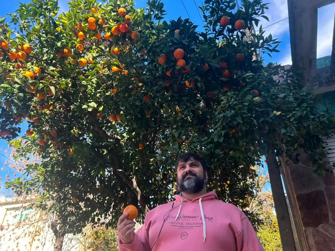 Roque Corbalán - naranjas amargas