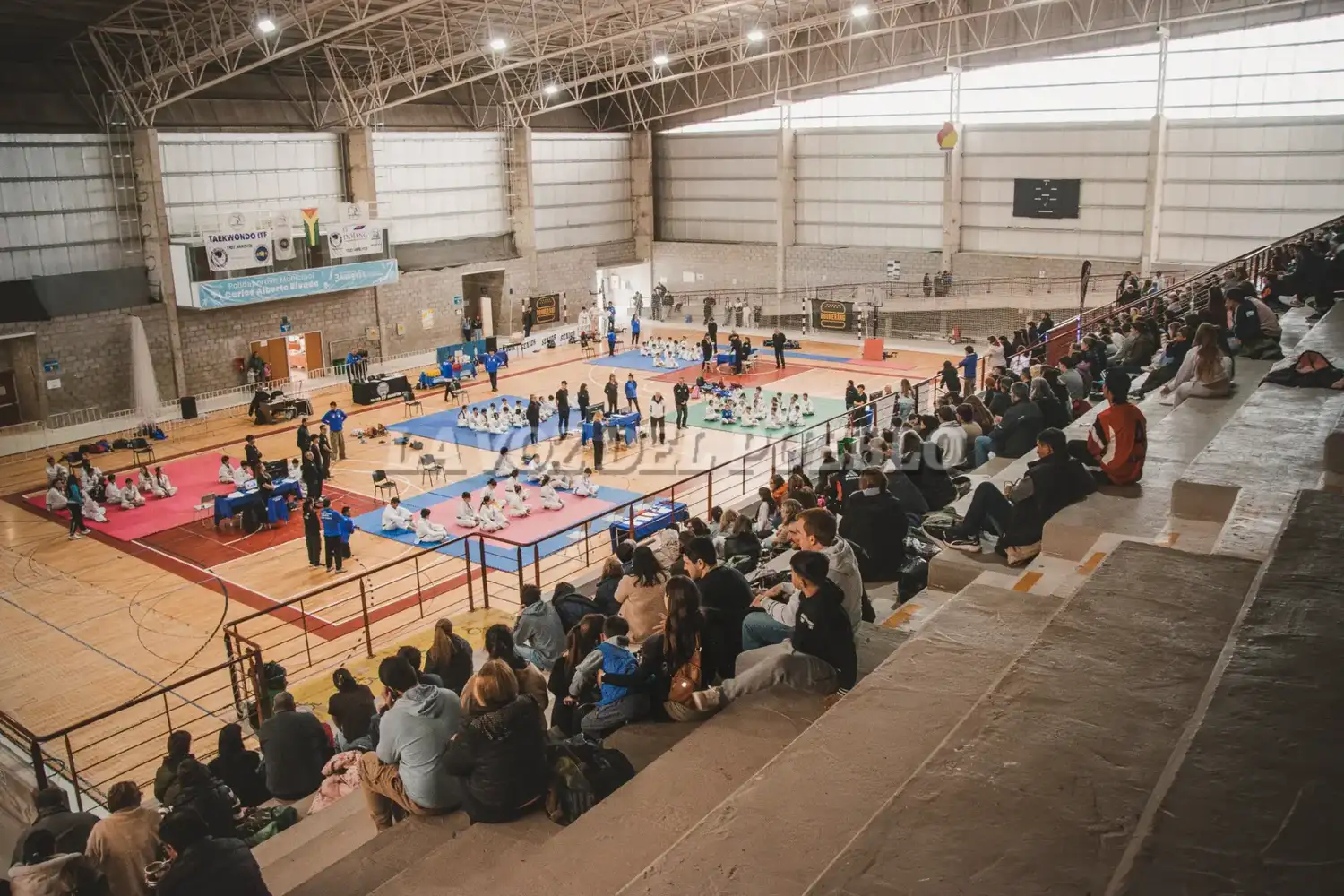 taekwondo polide - 16