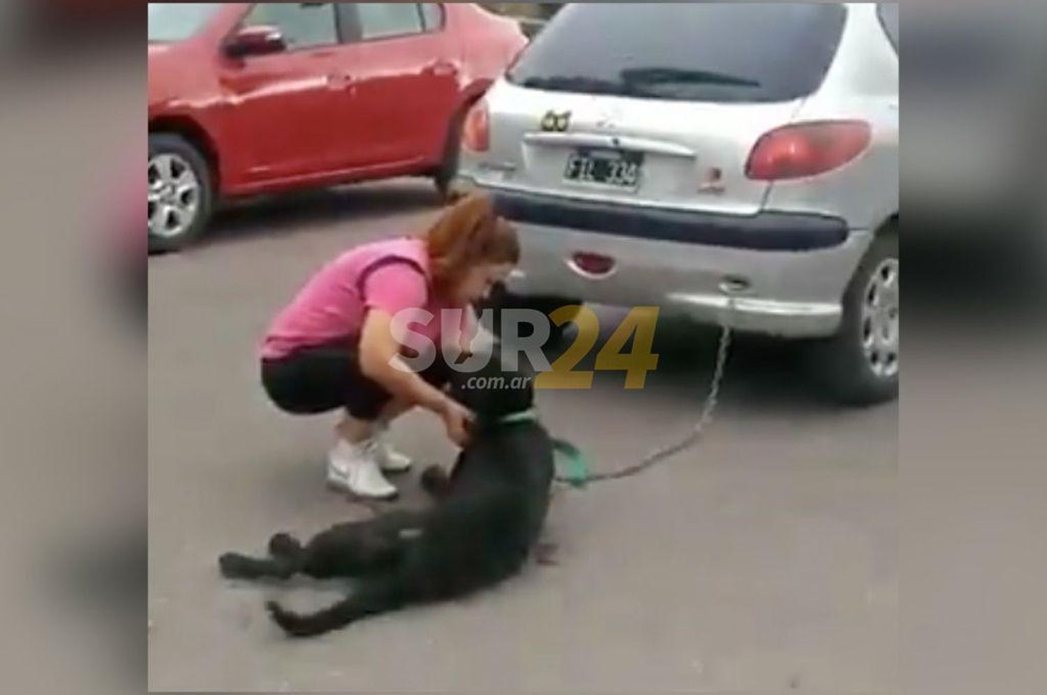 Deberá pagar 1.000 kilos de alimentos tras arrastrar a su perro con el auto