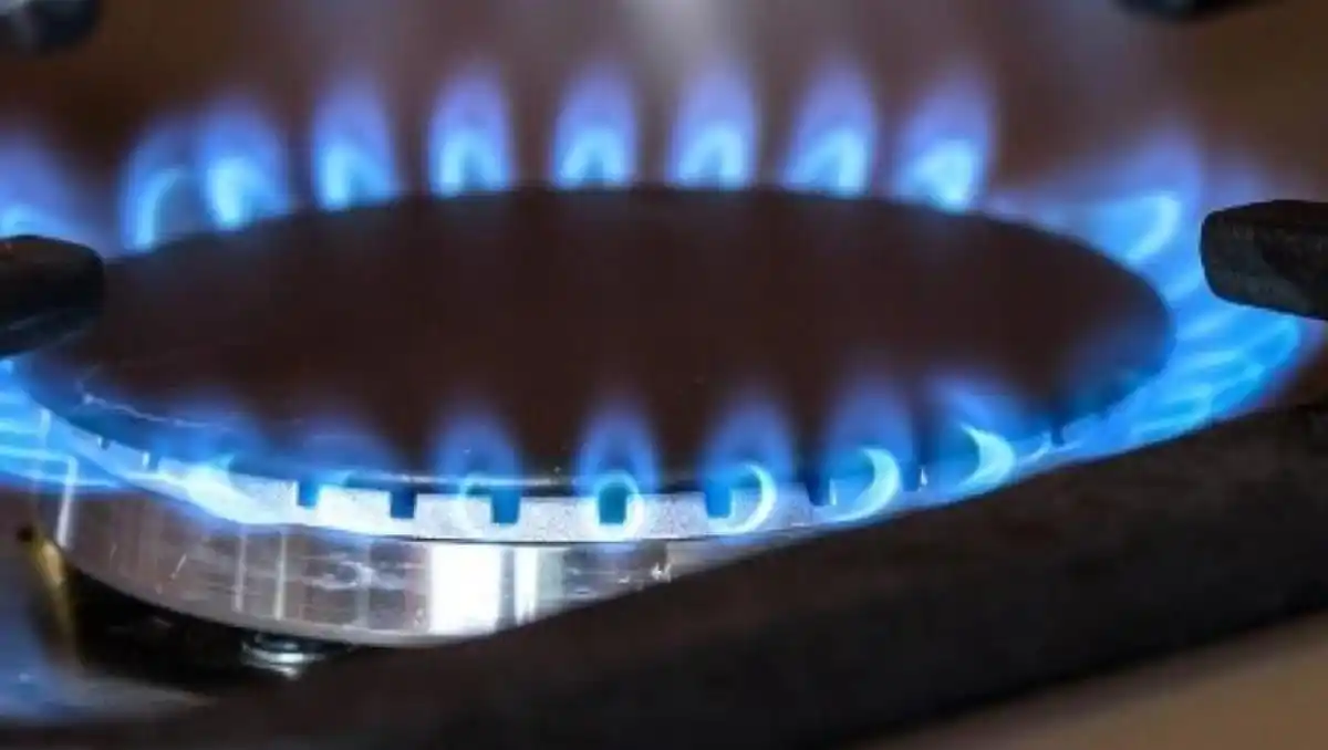 ¡CUIDADO! Estos son los gases más tóxicos y peligrosos en el hogar