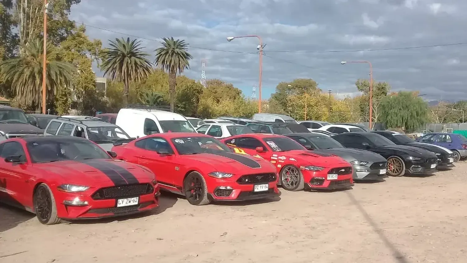 Mendoza: Corrían picadas con ocho deportivos de alta gama y se los secuestraron