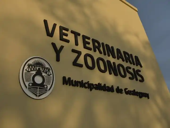 Veterinaria y Zoonosis: más de 700 vacunas aplicadas en mayo