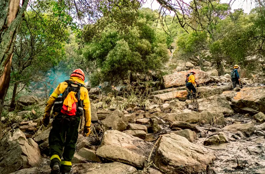 Atención marplatenses: aumentó el riesgo de propagación de incendios por las altas temperaturas