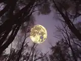 Luna llena en diciembre.