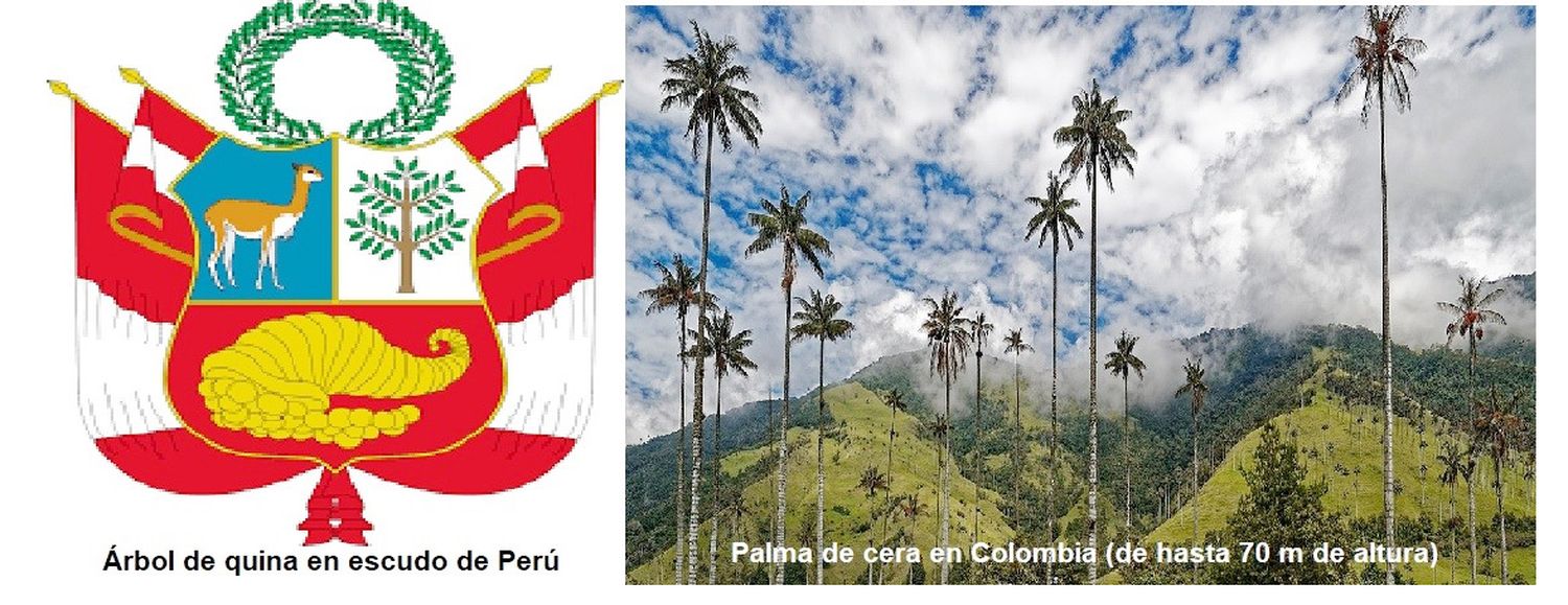 Los Árboles Nacionales en América (Parte 3 Sudamérica centro-norte)