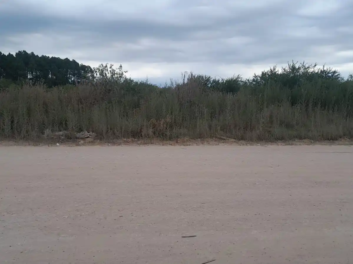 Zona Sur: Un hombre salió de entre los pastizales, golpeó a una mujer y le robó la bicicleta