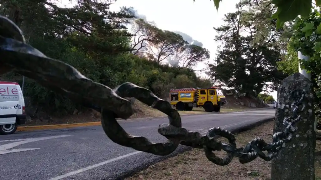 Las impactantes imágenes del incendio en el Parque