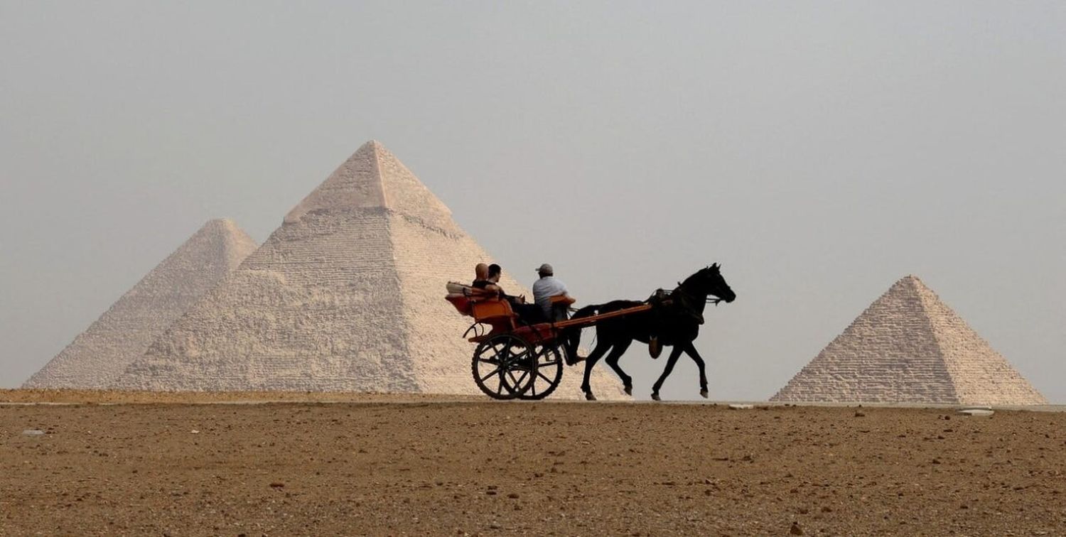 La embajada en Egipto como puerta de ingreso de productos santafesinos