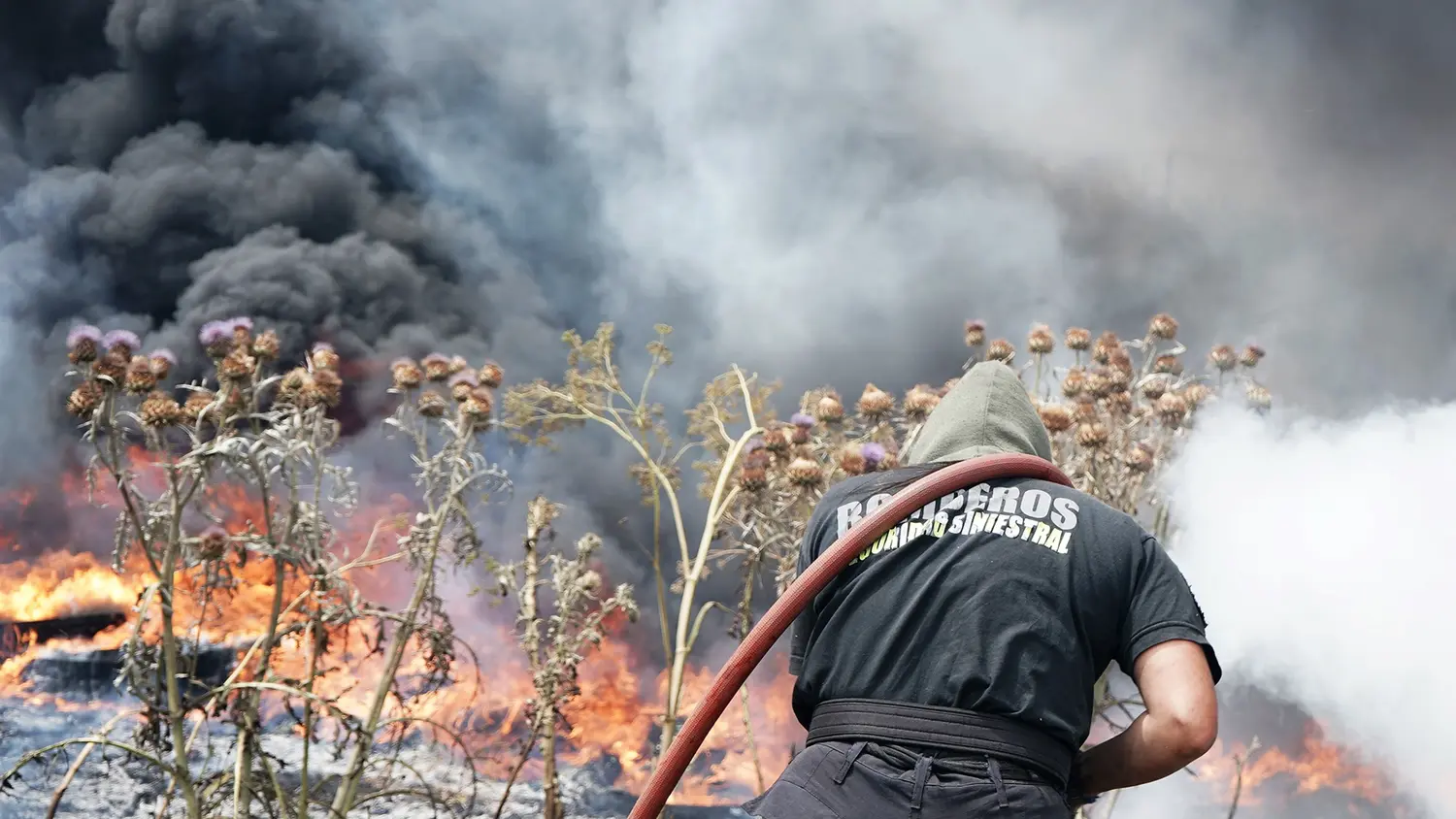 En predio. De calle 532 entre 527 y 529, trabajaron bomberos de Necochea y Quequén para combatir las llamas