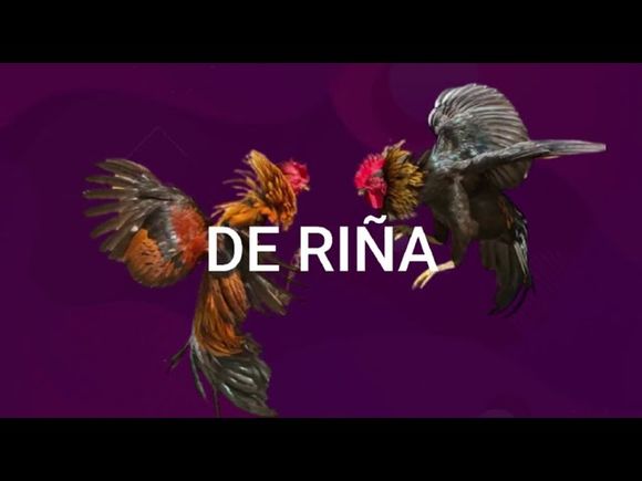 Batalla de Gallos: proteccionistas pensaron en “riñas” y se alarmaron