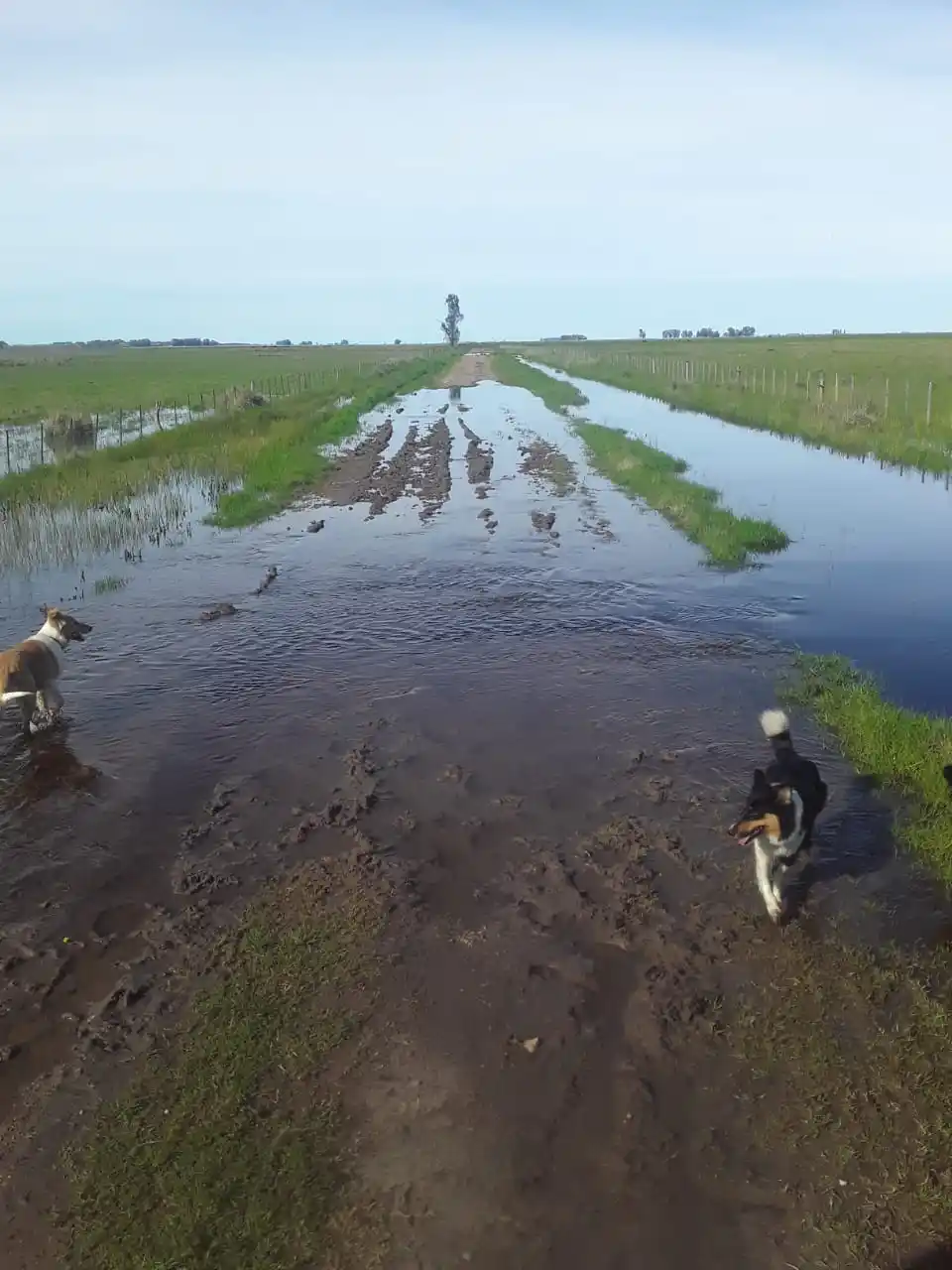 Fotos: Gentileza Gabriel Palmisano para LANOTICIA1.COM