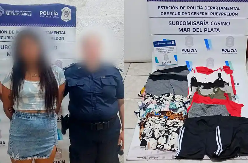 Invasión de mecheros: atrapan a una mujer que robó en el Shopping Peatonal