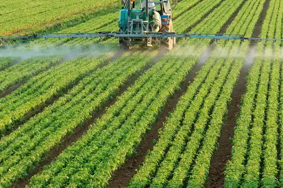 Agroquímicos: Audiencia Pública por la "Ordenanza Viotti" que permitiría fumigar a 50 metros de la ciudad