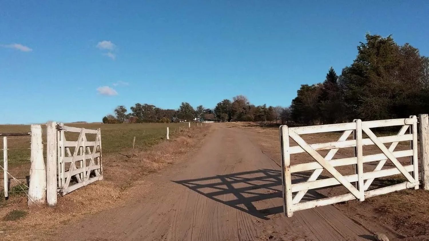 Robo millonario en un campo de Villa Cañás