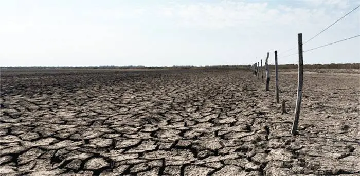 El campo ya no puede esperar los tiempos de la política, expresaron