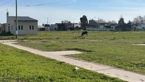 “Urbanizar la periferia es urgente”: el reclamo del Colegio de Arquitectos por un plan integral en Mar del Plata