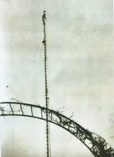 La proeza de don Ismael Villemur en la querida plaza Belgrano