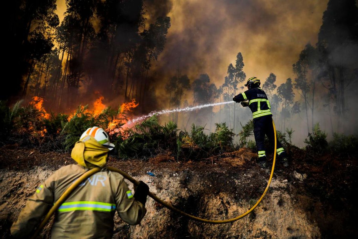 Ataque terrorista desencadena incendio forestal en Colombia