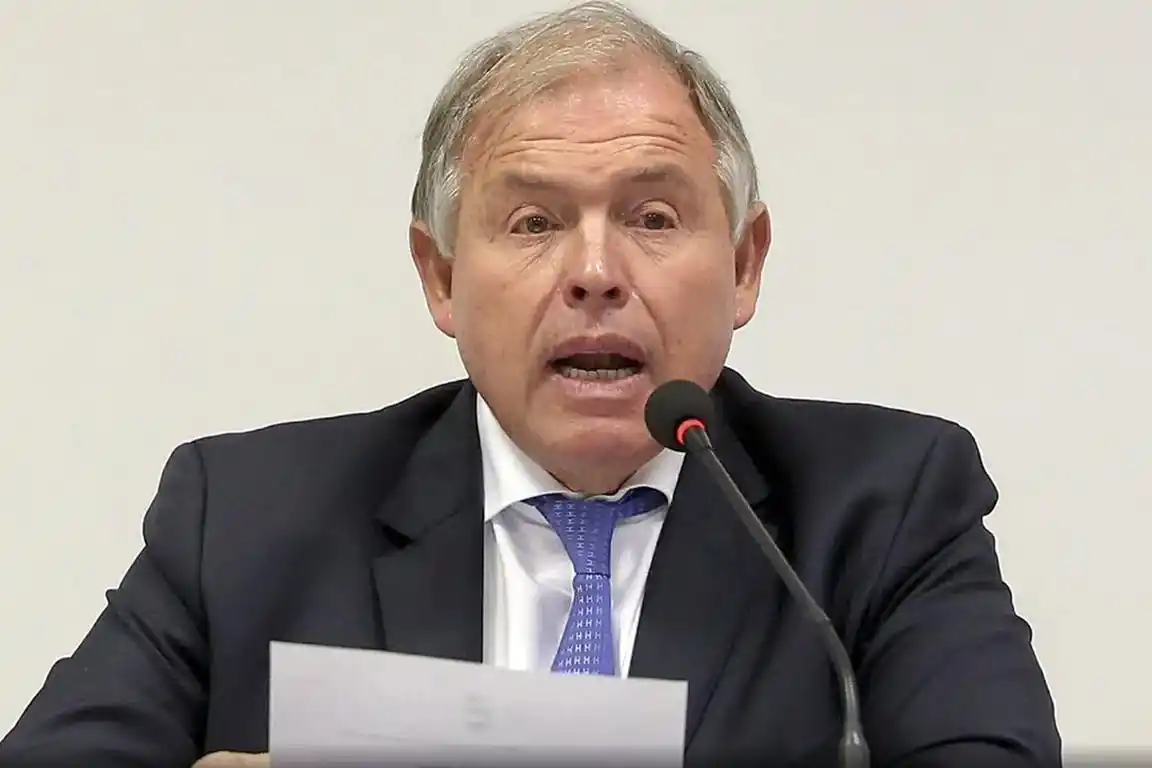 El presidente del COA sostuvo que la postergación de los Juegos es "algo razonable"