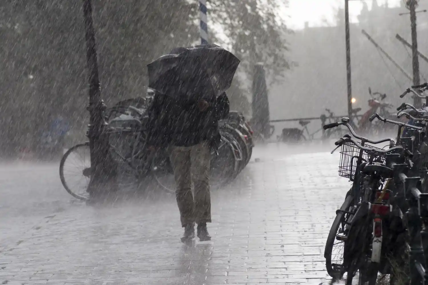Alertas meteorológicos por abundantes lluvias y por vientos intensos