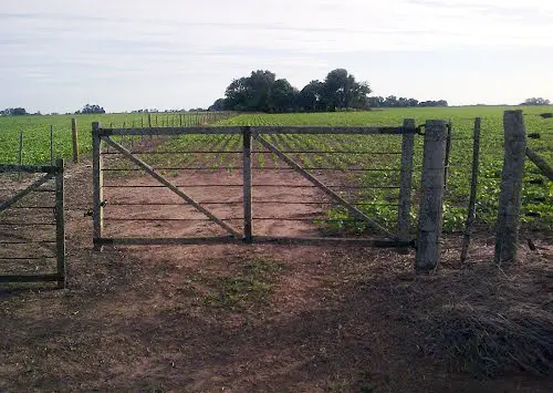 En diez días arranca el Censo Nacional Agropecuario