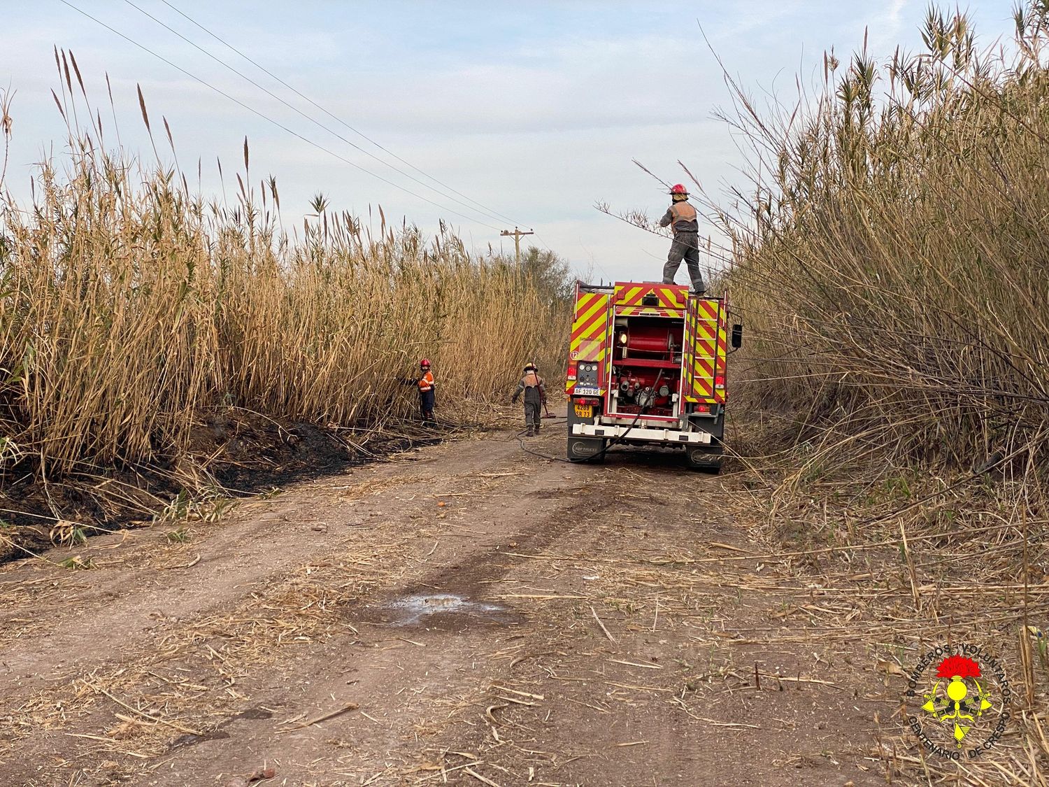 Incendio de cañaveral moviliza a Bomberos Voluntarios