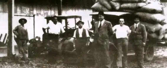 Vicentin: Una aproximación a la historia de tres hermanos que de la nada armaron un imperio en un pueblo del norte de Santa Fe