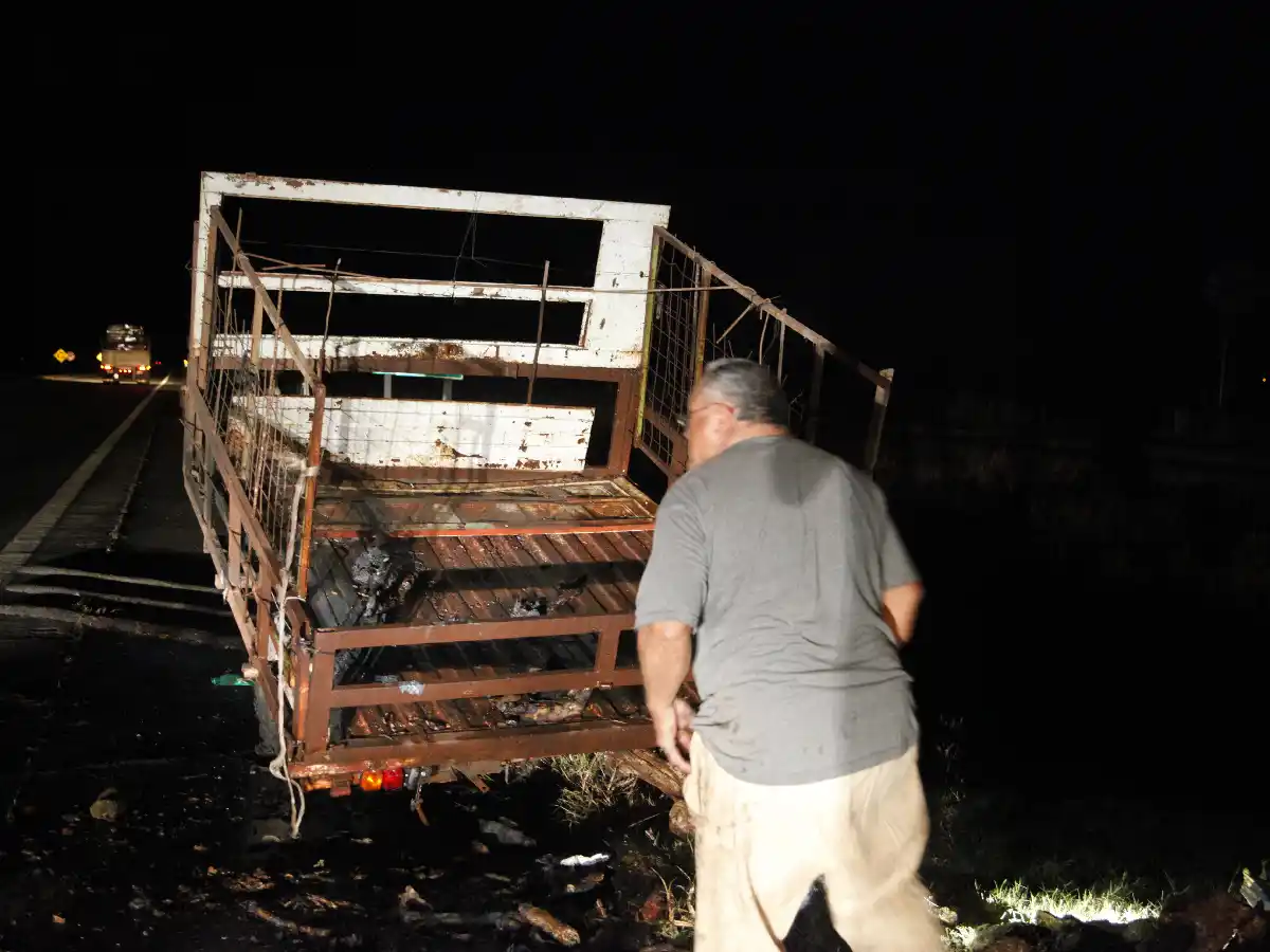 Se incendió un carro que transportaba leña