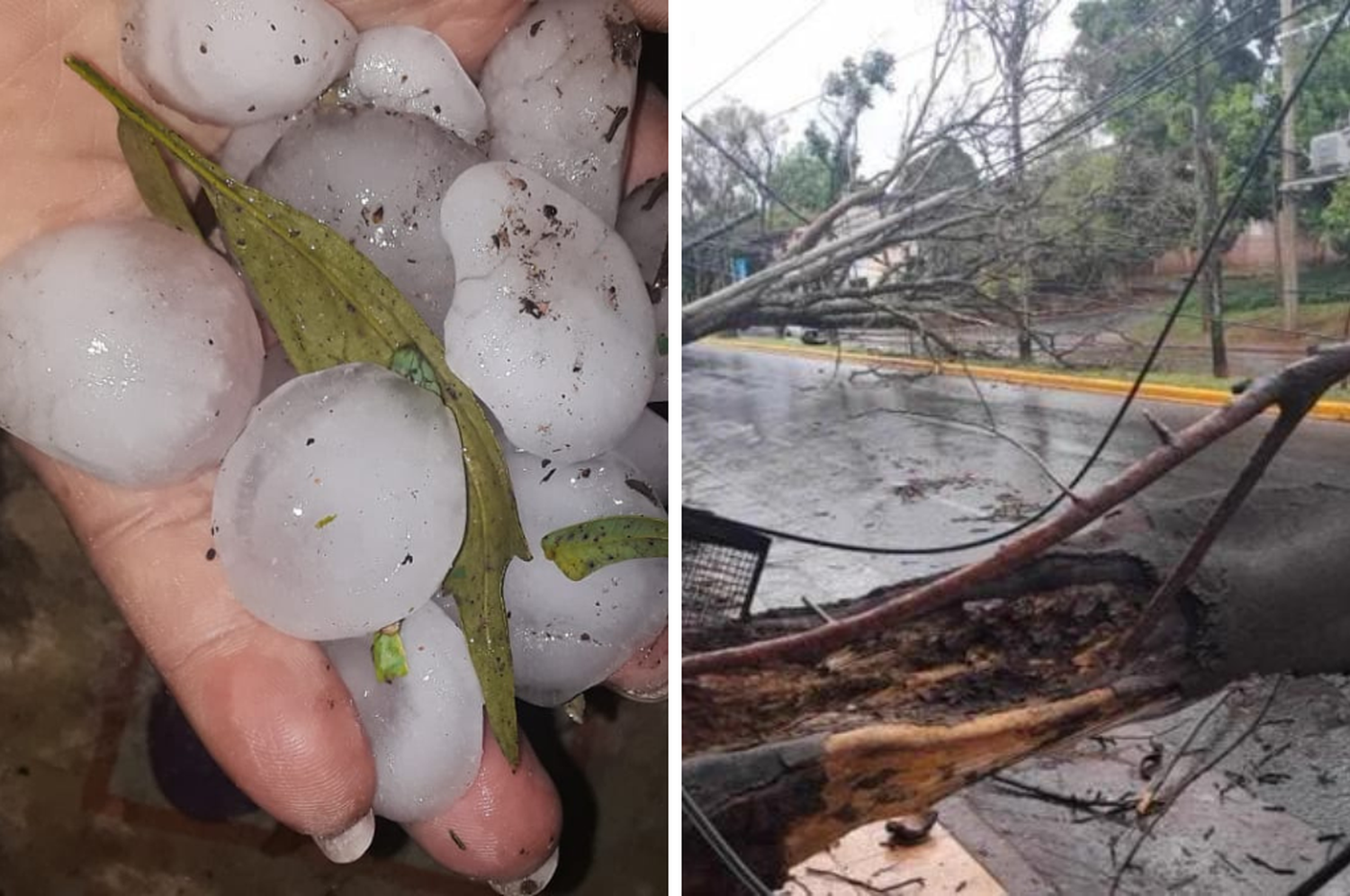 Hay alerta meteorológico.