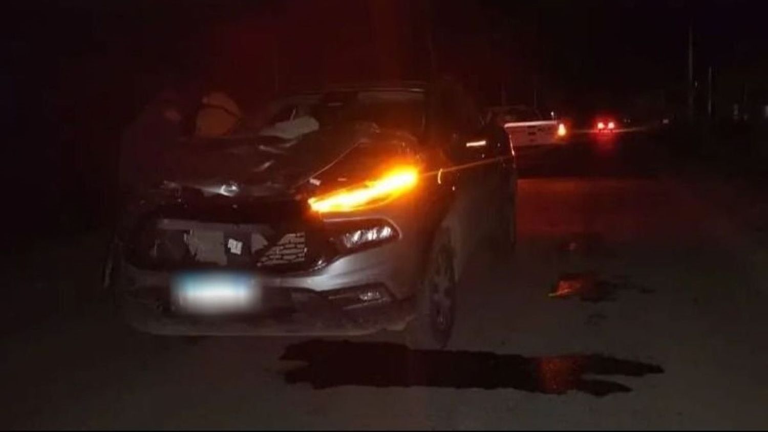 La Plata: camioneta atropelló y mató a dos personas que arrastraban un carro