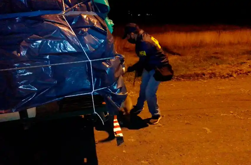 Verano Seguro, también en el acceso a Azul